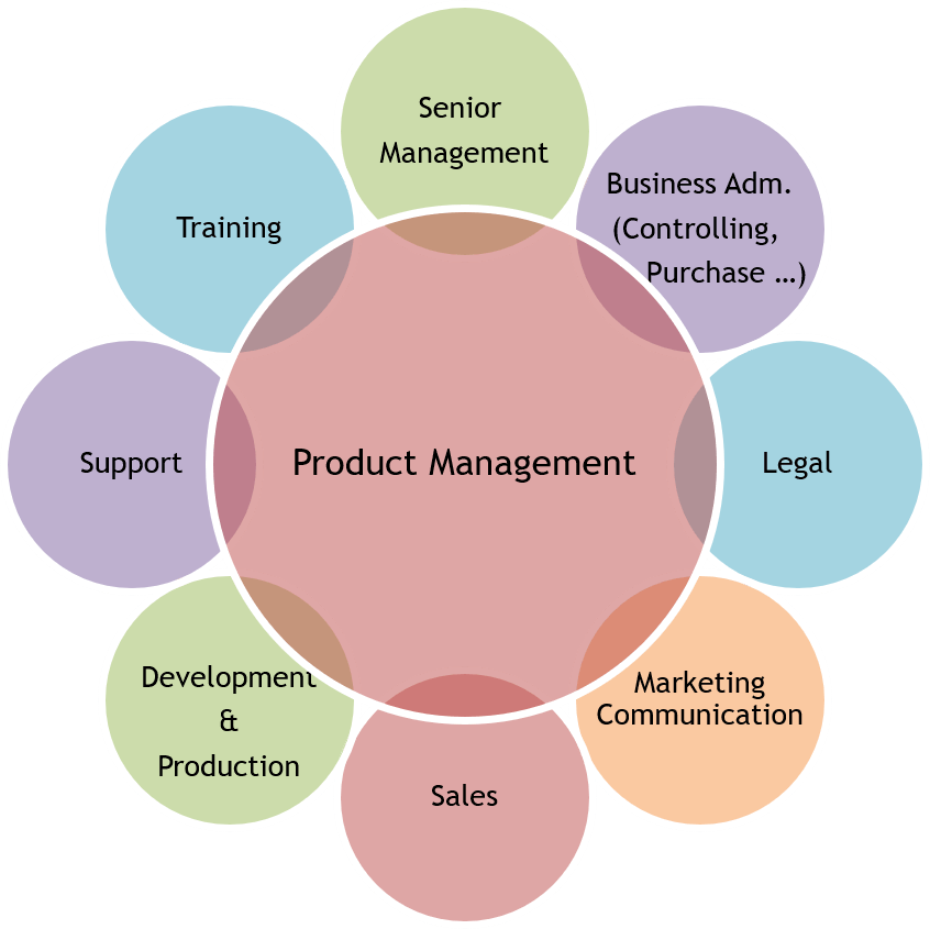 Product Management in Company