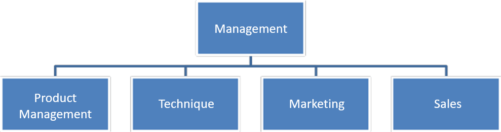 Product Management Organization,
                Product Management Organization Chart