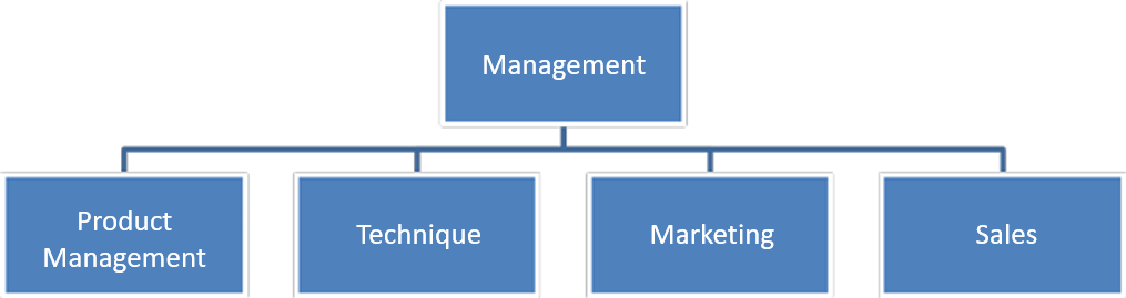 Product Management organization structure